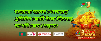 দৈনিক ফ্রি স্পিন অফার promotion